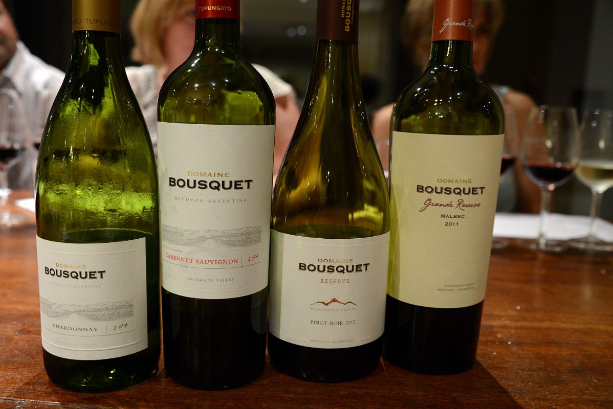 03-13 Chardonnay, Cabernet Sauvignon, Pino Noir, Malbec Wine Bottles At Domaine Bousquet On Uco Valley Wine Tour Mendoza